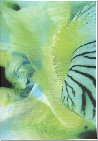 Photography: Erotica
